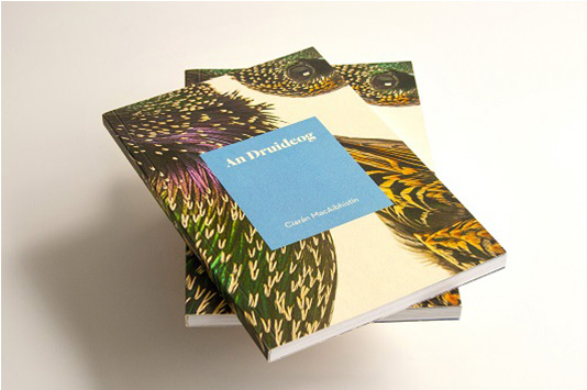 Druidoeg books stacked