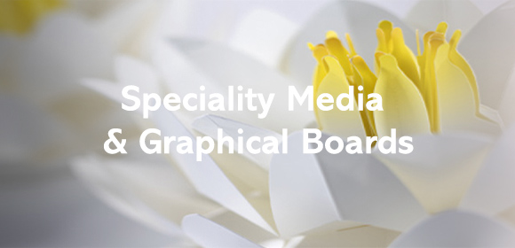 Speciality Papers
