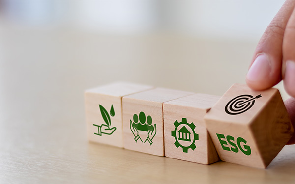 esg ecovadis