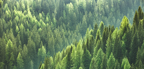 kroma sustainability