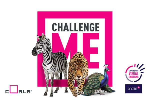 Challenge Me