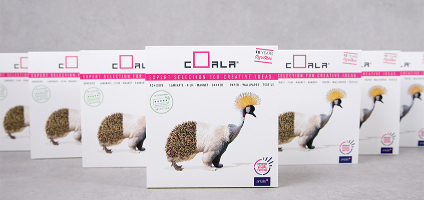Coala swatch book banner