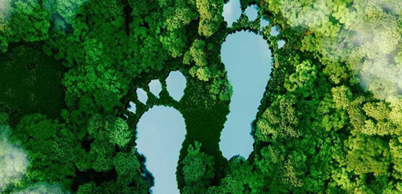 Sustainability news