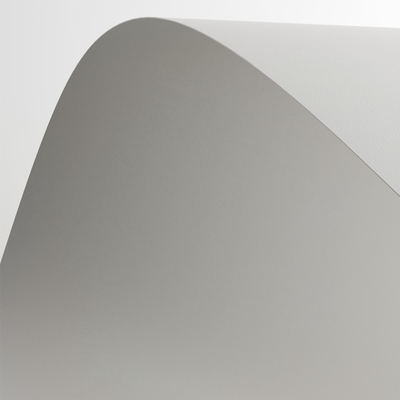 Conqueror CX22 High White Close-up