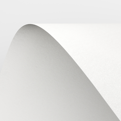 Conqueror Laid High White Close-up