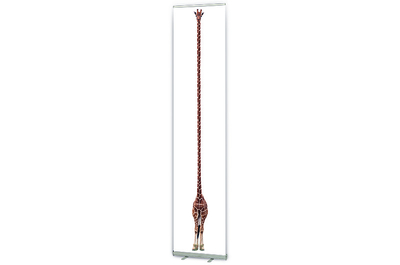 Display Stands