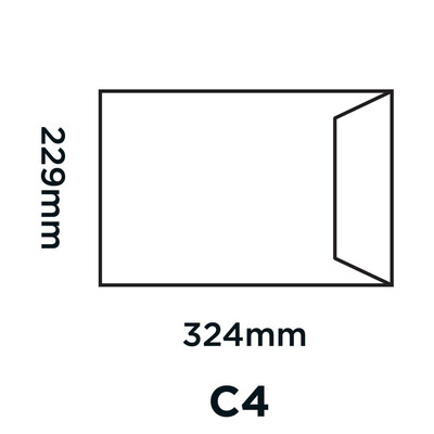 Purely Environmental White RD7891 100gsm 250 Per Pack
