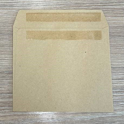 Wage Envelope Back