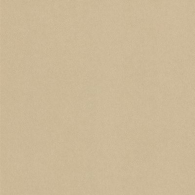 Coala Interior Film Textile Leather NE42 Caramel Leather 1220mm x 50 Metre Installation ABBA