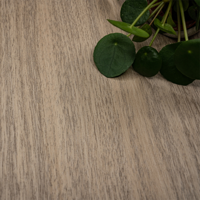 Coala Interior Film Wood NH77 Honey Walnut 1220mm x 50 Metre