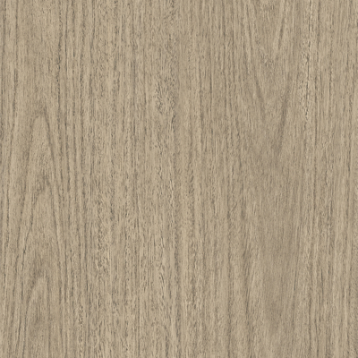 Coala Interior Film Wood NH74 Eucalypus Grove 1220mm x 50 Metre