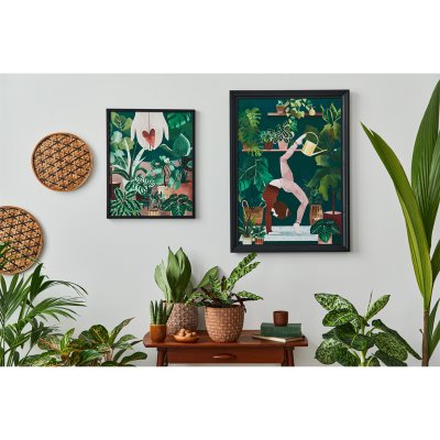 Coala Poster Gloss