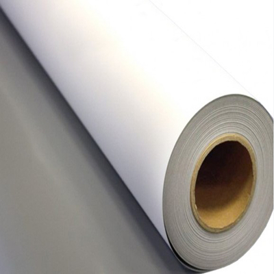 Coala Stay Flat Rollerbanner
