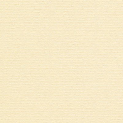 Conqueror Laid Premium Paper Watermarked Vellum A4 100gsm Pack of 500 Sheets