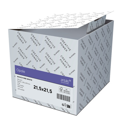 Opale Wove Envelopes