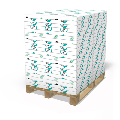 Cyclus Silk Plus Coated Paper White B1+ 90gsm Pack of 250 Sheets