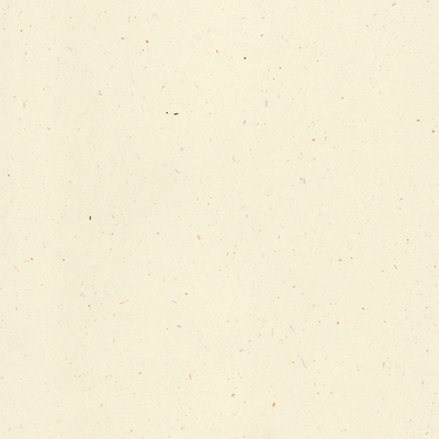 Curious Particles Creative Paper Natural Lily Flower B1 240gsm Pack of 100 Sheets