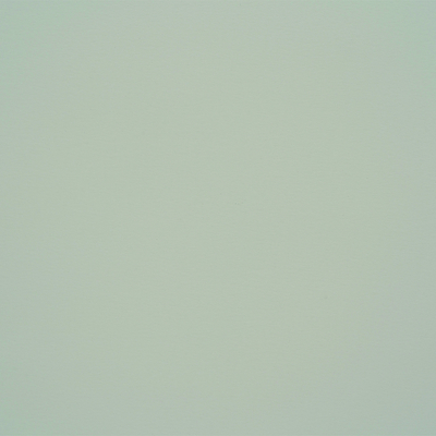 Curious Skin Creative Paper Grey 700x1000mm 270gsm Pack of 100 Sheets