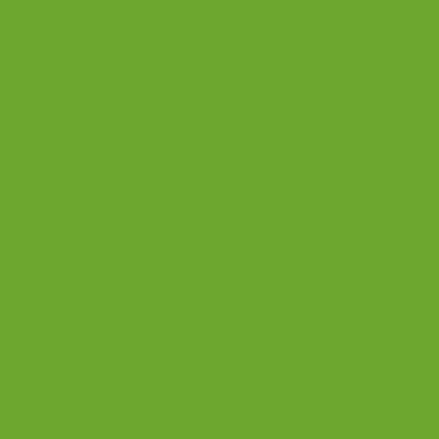 Oracal 651G 063 Lime Tree Green