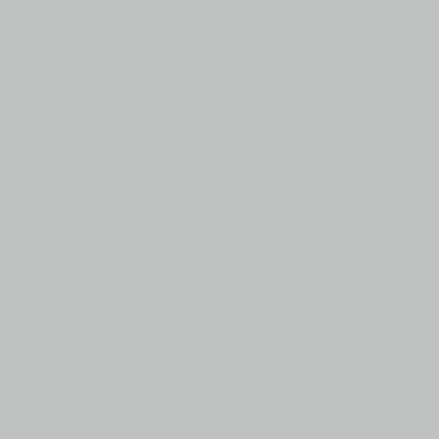 Oracal 651 072 Light Grey