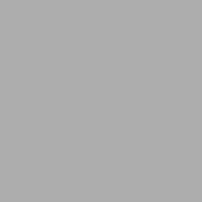 Oracal 970GRA 730 Simple Grey
