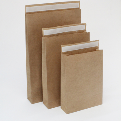 Paper Mailing Envelope