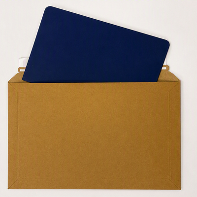 Protective Envelope 245x295mm