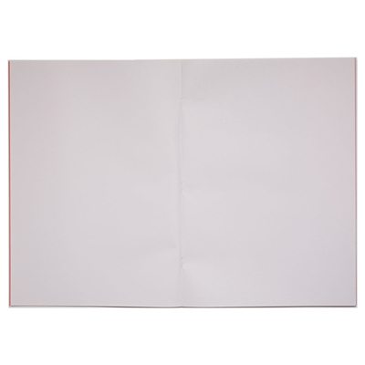 Rhino Plain Inside Application