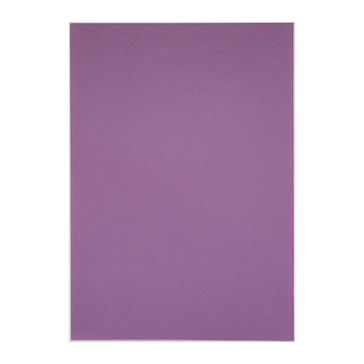 Rhino Project Book Purple Back Cover