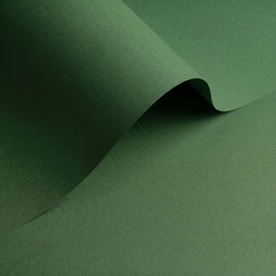 Olin Colours Jungle Green Creative Paper B1 120gsm Pack of 250 Sheets