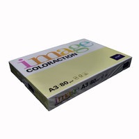 Image Coloraction Florida Lemon Yellow A3 80gsm Tinted Copier Paper Ream Flat Left Image