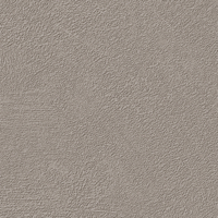 Coala Interior Film Concrete Pure NH13 Storm Cloud Stucco 1220mm x 50 Metre