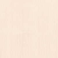 Coala Interior Film Wood CT18 White Birch 1220mm x 50 Metre