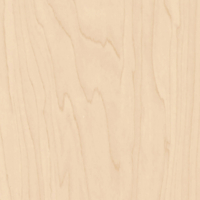 Coala Interior Film Wood Light CT19 Pale Gold Birch 1220mm x 50 Metre