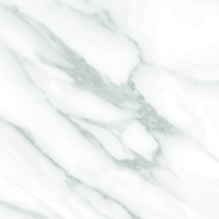 Coala Interior Film High Resistance Stone NE31 Statuary White 1220mm x 50 Metre