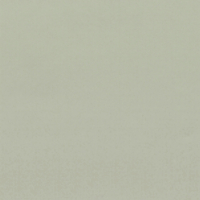 Coala Interior Film Essential RM30 Pastel Olive Green 1220mm x 50 Metre