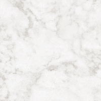 Coala Interior Film Stone NH48 200µ 1220mmx50m