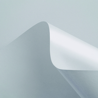Curious Matter Creative Paper Goya White B1 135gsm Pack of 200 Sheets