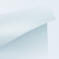 Curious Metallics Creative Paper Ice Silver B1+ 300gsm Pack of 100 Sheets