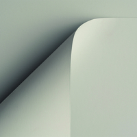 Curious Skin Creative Paper Grey 700x1000mm 270gsm Pack of 100 Sheets