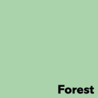 Image Coloraction Forest Pastel Green Paper SRA2 160gsm Pack of 250 Sheets