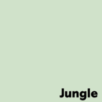 Image Coloraction Jungle Pale Green Paper SRA1 80gsm Pack of 500 Sheets