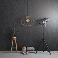 Coala Interior Film Wood