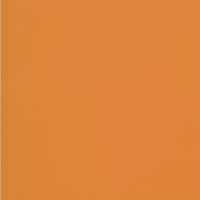 Olin Colours Orange