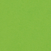 Olin Colours Pistachio