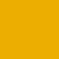 Oracal 631M 019 Signal Yellow