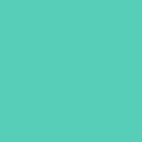 Oracal 970RA+ ProSlide 055-Mint Green Matt