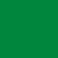 Oracal 951 062 Light Green