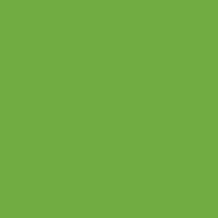 Oracal 631M 063 Lime Tree Green