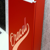 Oracal 651
